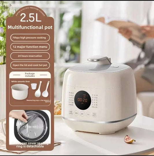 220V 2.5L Electric Pressure Cooker
