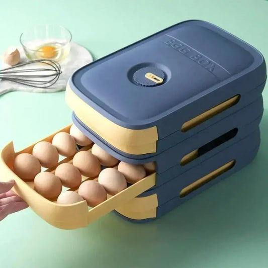 Compartment Storage Rack Holder