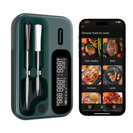 Tempwise Wireless Meat Thermometer