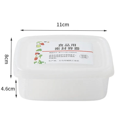 Mini Refrigerator Food Cooler