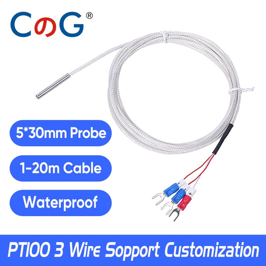 CG 5*30mm PT100 Temperature Sensor